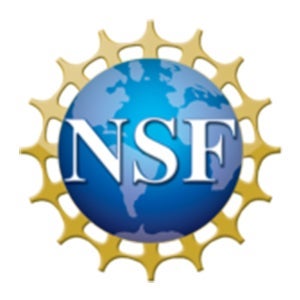 NSF logo