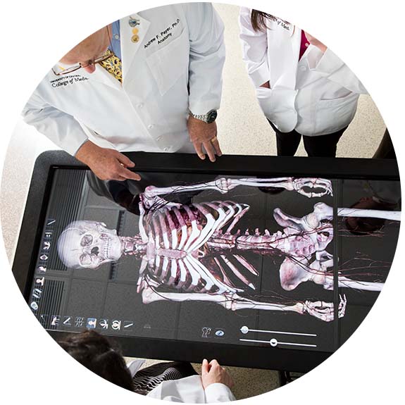 Simulated Dissection Table