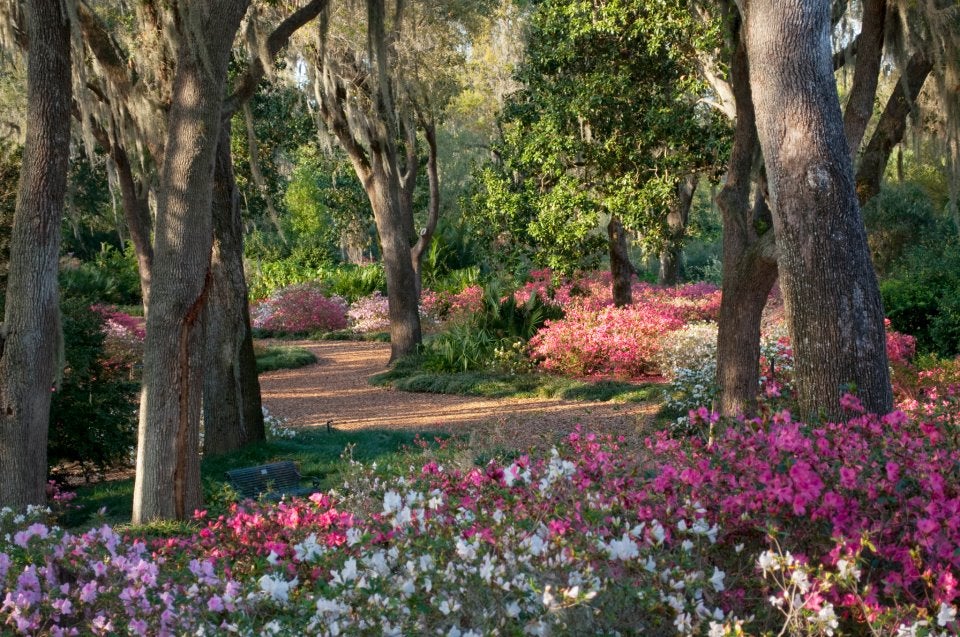 Study Reveals the Root of Guest Experiences at Bok Tower Gardens ...