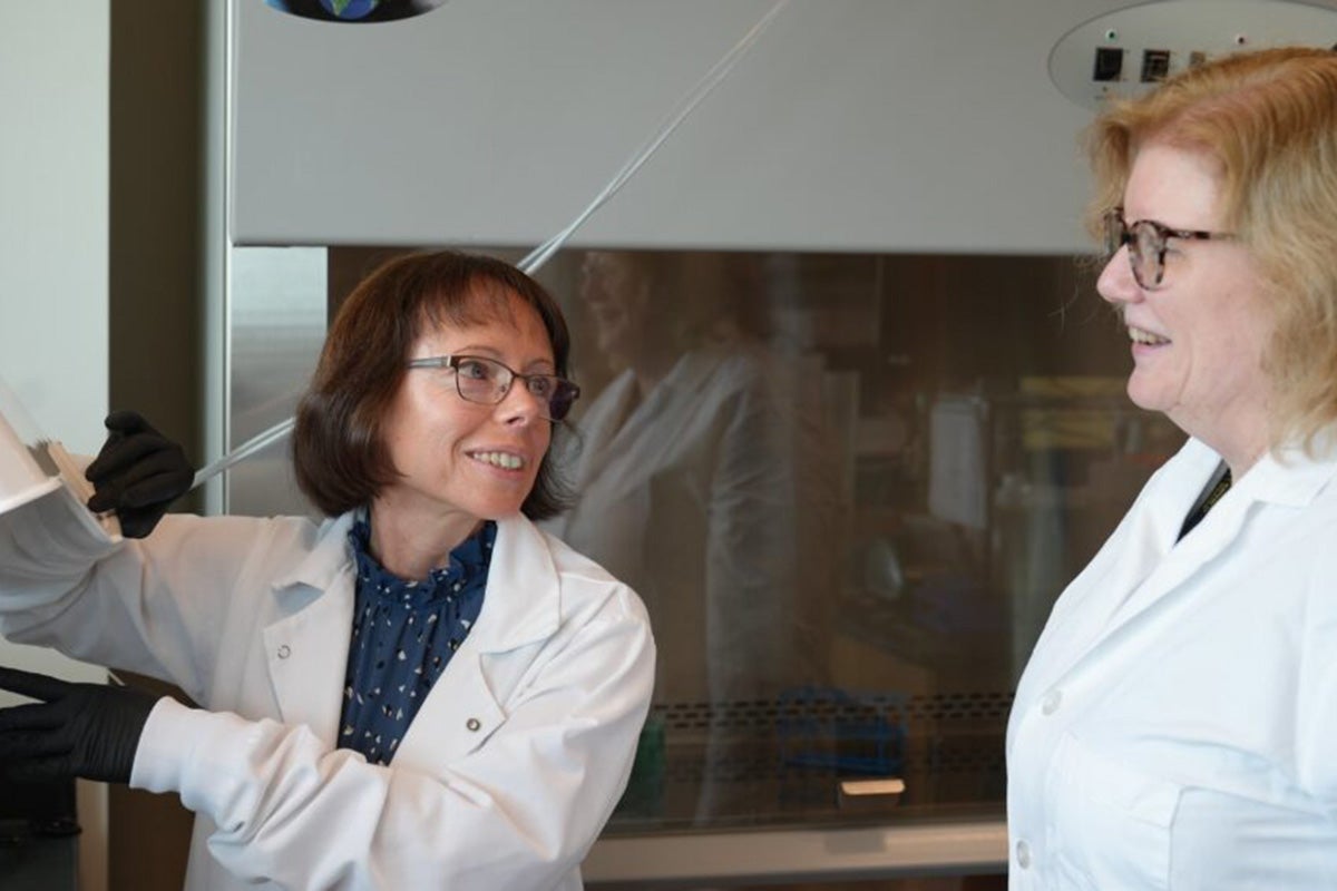 Two female cancer researchers wearing white lab coats are working together in a lab