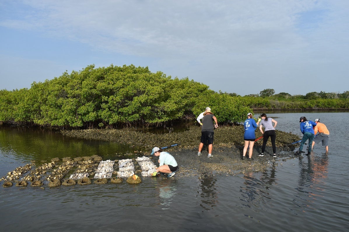 Students working in Florida's Mosquito Lagoon