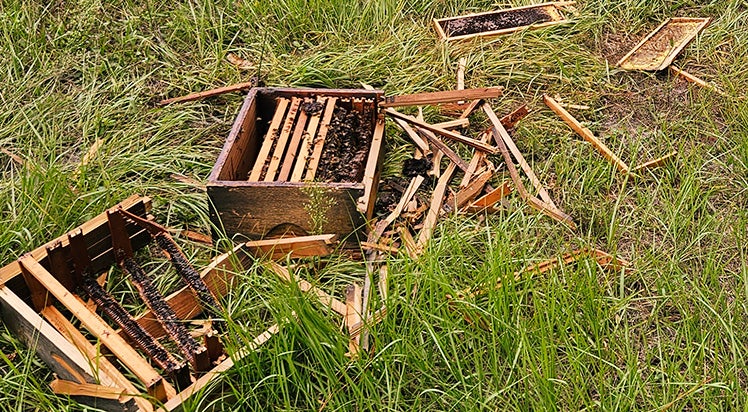 Damaged beehive in grass.