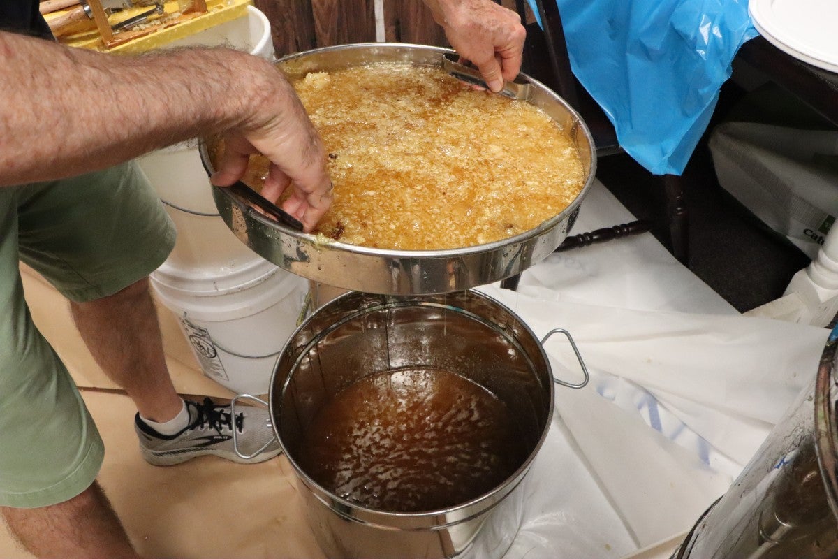 Honeycomb in pan producing honey in container below it.